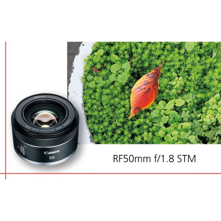 Canon RF 50mm f/1.8 STM Lens