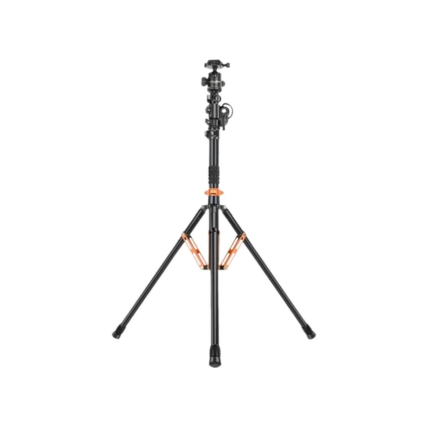 DigiTek DTR-830BH Light Stand + Tripod